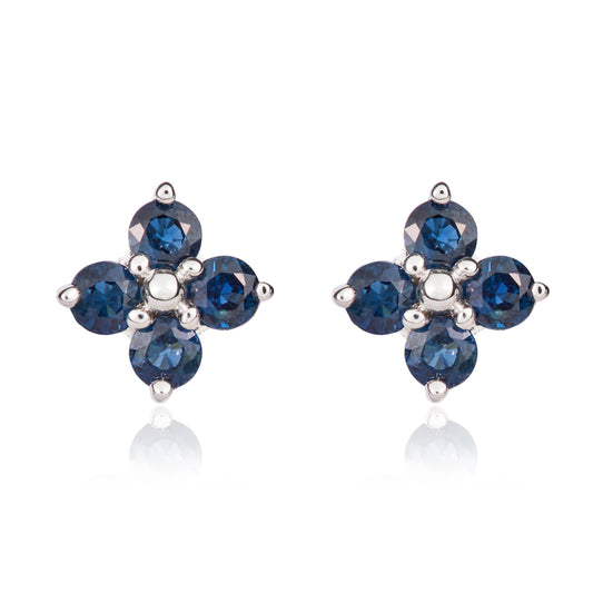 9ct White Gold And Sapphire Earrings