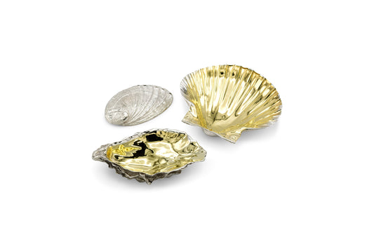 Silver Ormer, Scallop & Oyster Shell